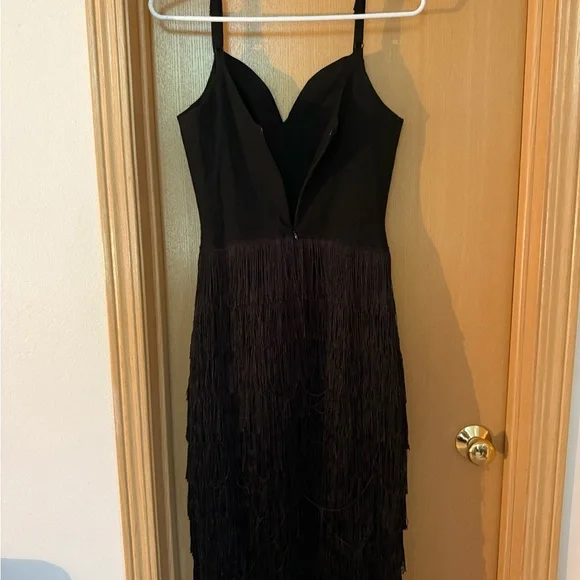 Hollywoodland Some Like it Hot Fringe Dress - Picture 4 of 5